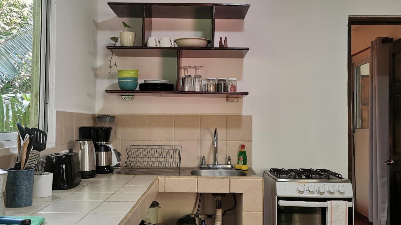 Colibri Apartments - 4 Min Walk To The Beach! Playa Santa Teresa  Экстерьер фото