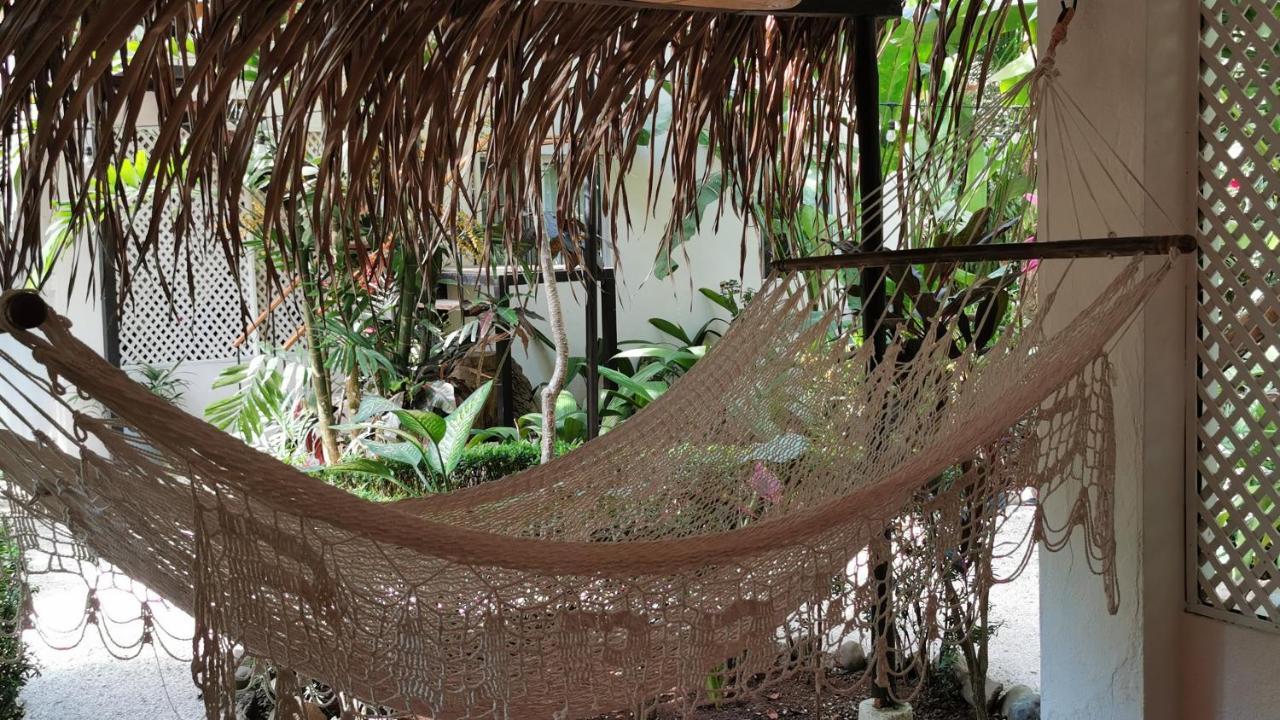 Colibri Apartments - 4 Min Walk To The Beach! Playa Santa Teresa  Экстерьер фото