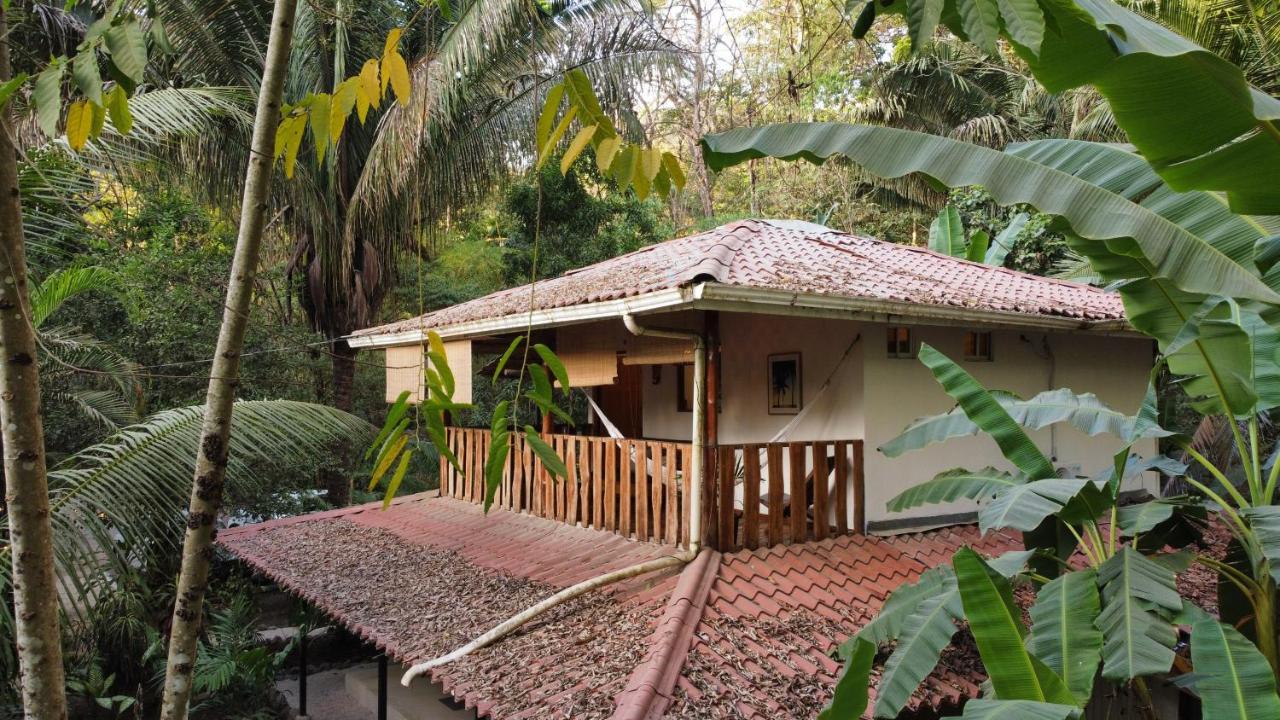 Colibri Apartments - 4 Min Walk To The Beach! Playa Santa Teresa  Экстерьер фото