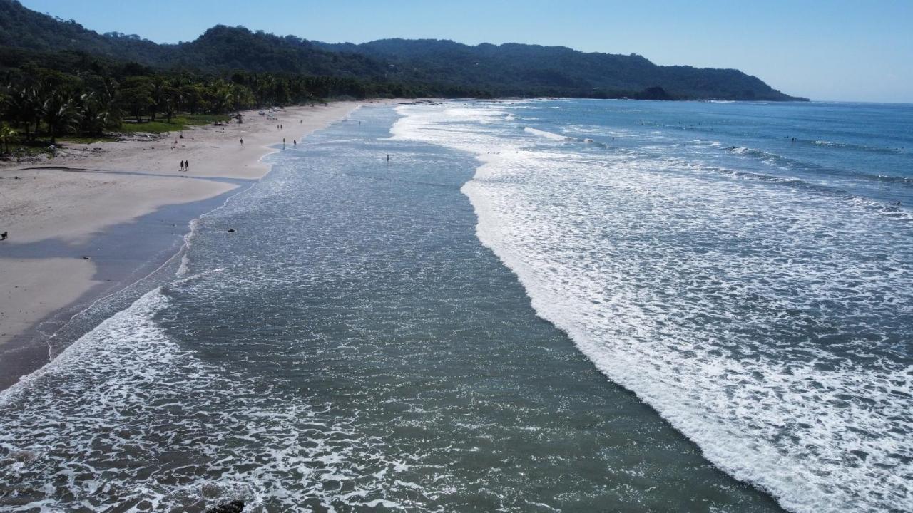 Colibri Apartments - 4 Min Walk To The Beach! Playa Santa Teresa  Экстерьер фото
