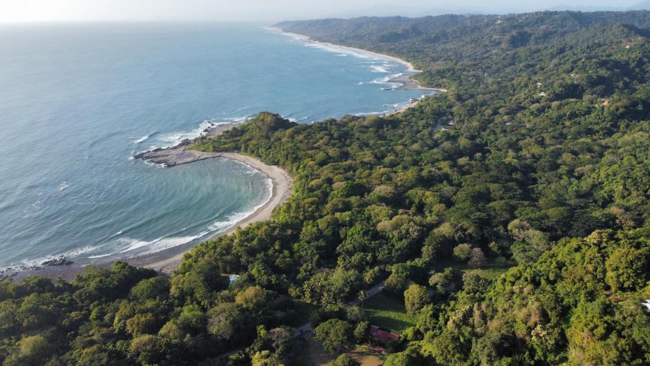 Colibri Apartments - 4 Min Walk To The Beach! Playa Santa Teresa  Экстерьер фото