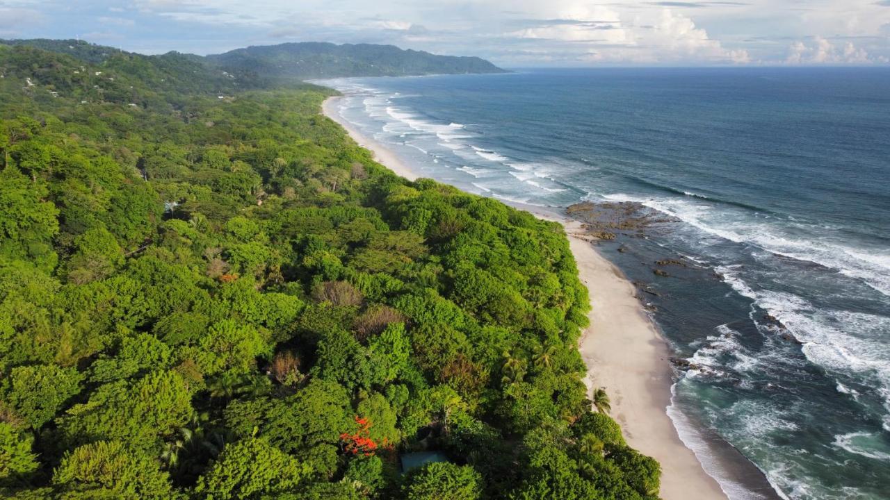 Colibri Apartments - 4 Min Walk To The Beach! Playa Santa Teresa  Экстерьер фото