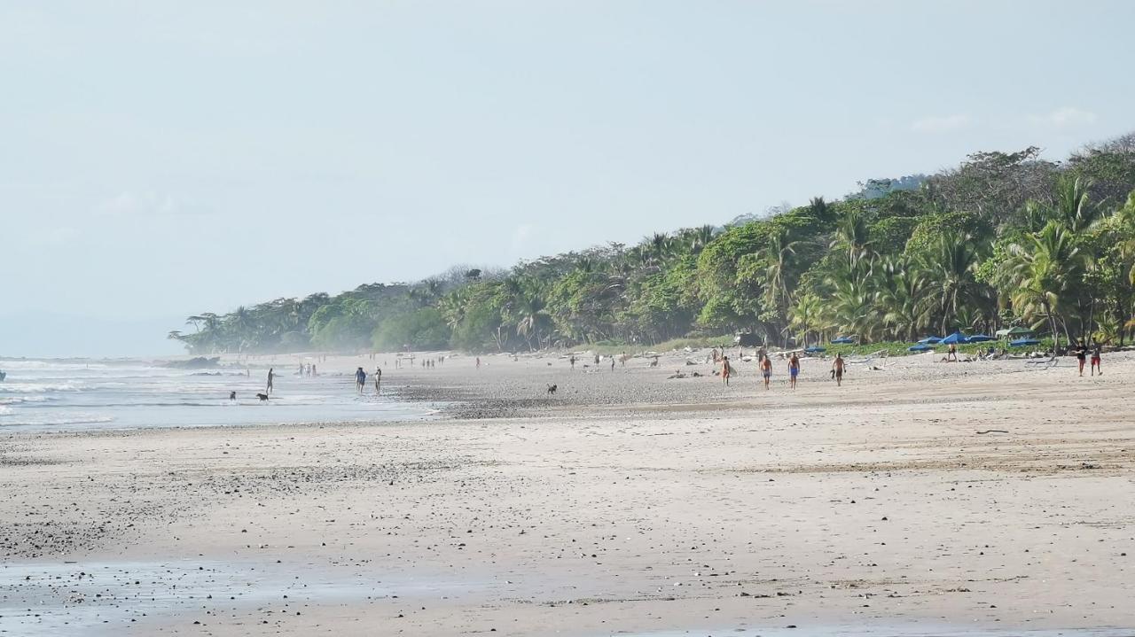 Colibri Apartments - 4 Min Walk To The Beach! Playa Santa Teresa  Экстерьер фото