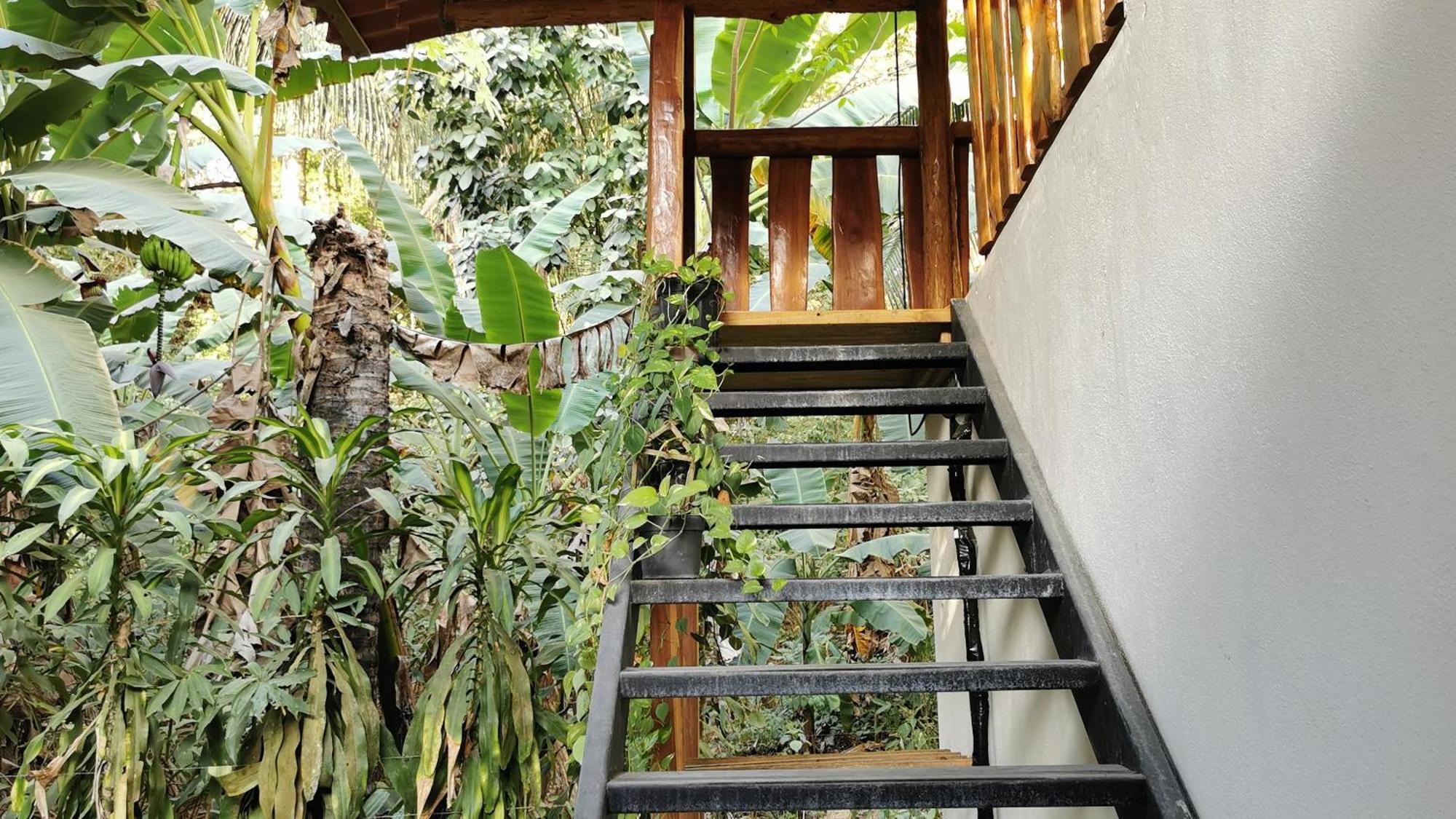 Colibri Apartments - 4 Min Walk To The Beach! Playa Santa Teresa  Номер фото