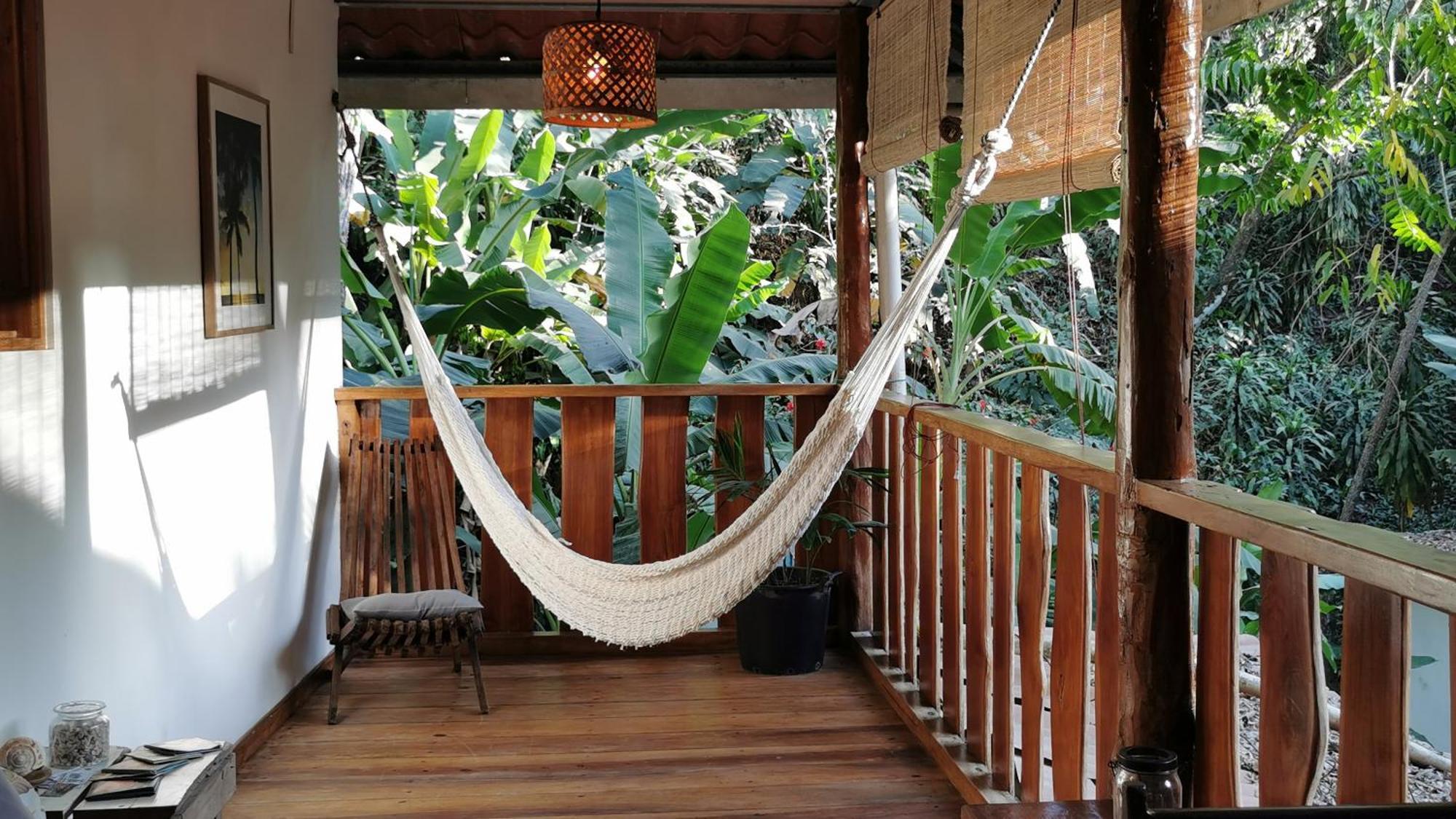 Colibri Apartments - 4 Min Walk To The Beach! Playa Santa Teresa  Номер фото