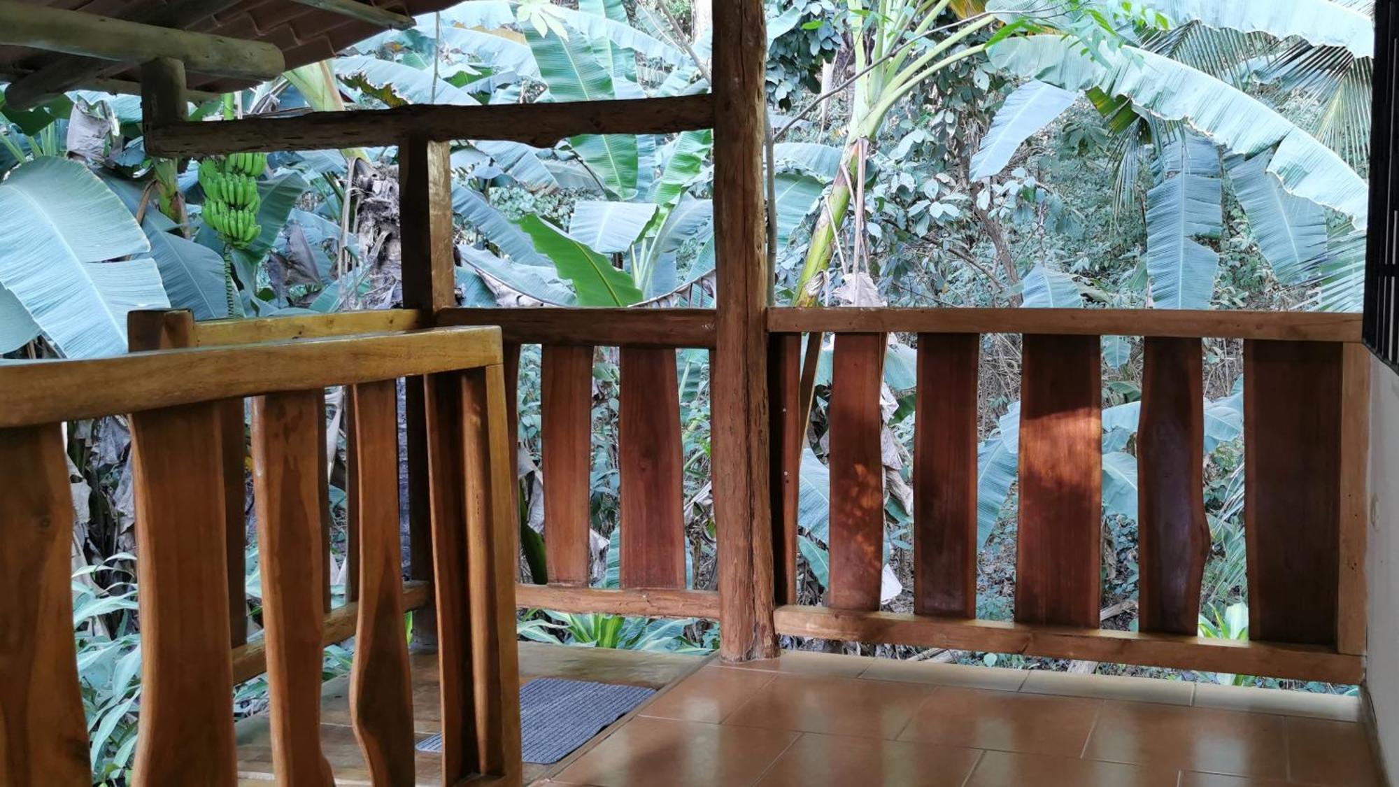 Colibri Apartments - 4 Min Walk To The Beach! Playa Santa Teresa  Номер фото