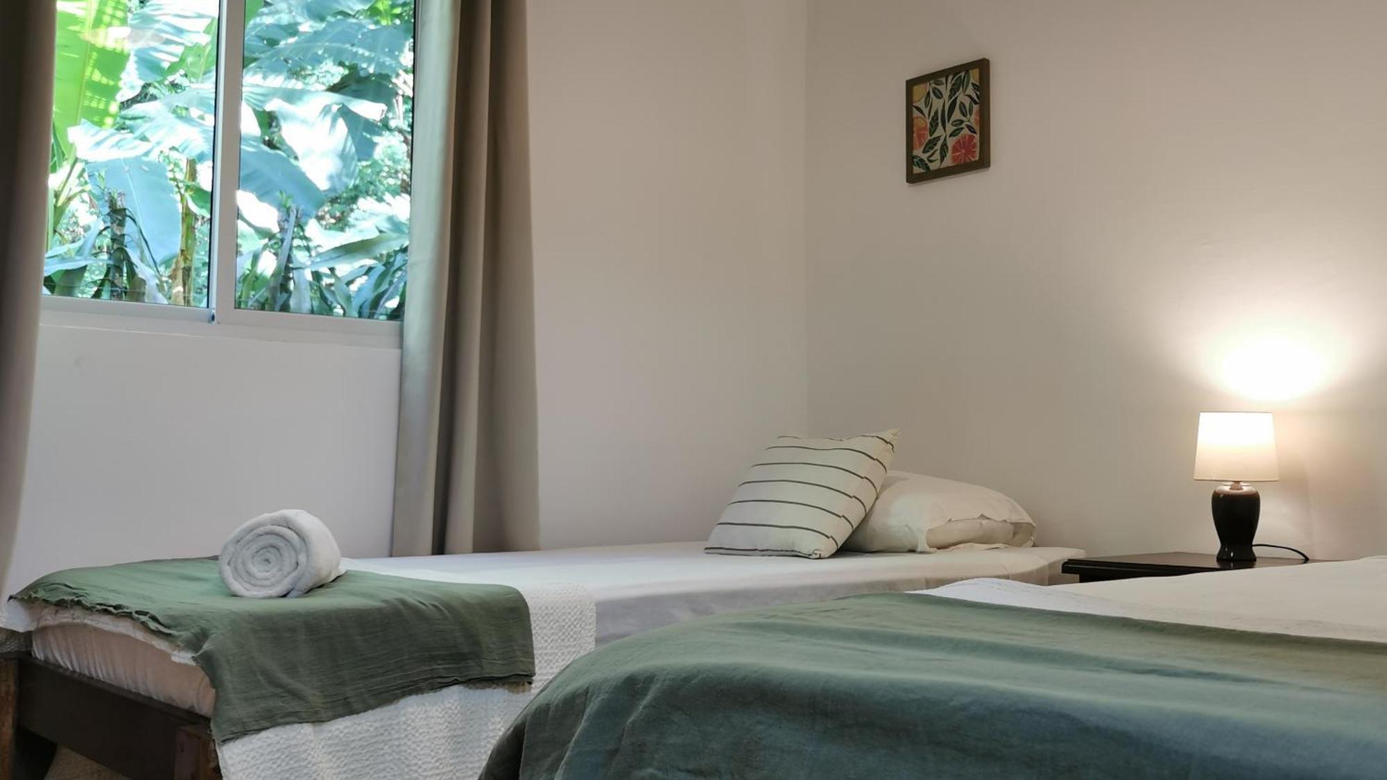 Colibri Apartments - 4 Min Walk To The Beach! Playa Santa Teresa  Номер фото