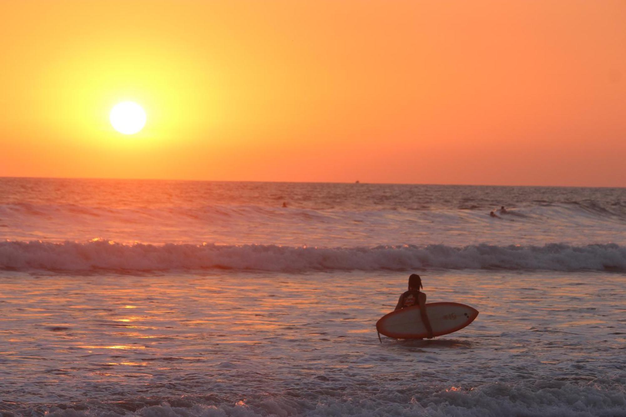 Colibri Apartments - 4 Min Walk To The Beach! Playa Santa Teresa  Экстерьер фото