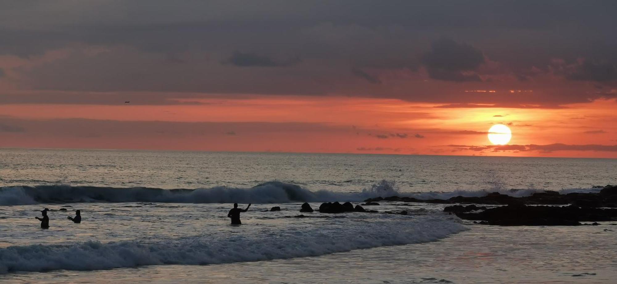 Colibri Apartments - 4 Min Walk To The Beach! Playa Santa Teresa  Экстерьер фото