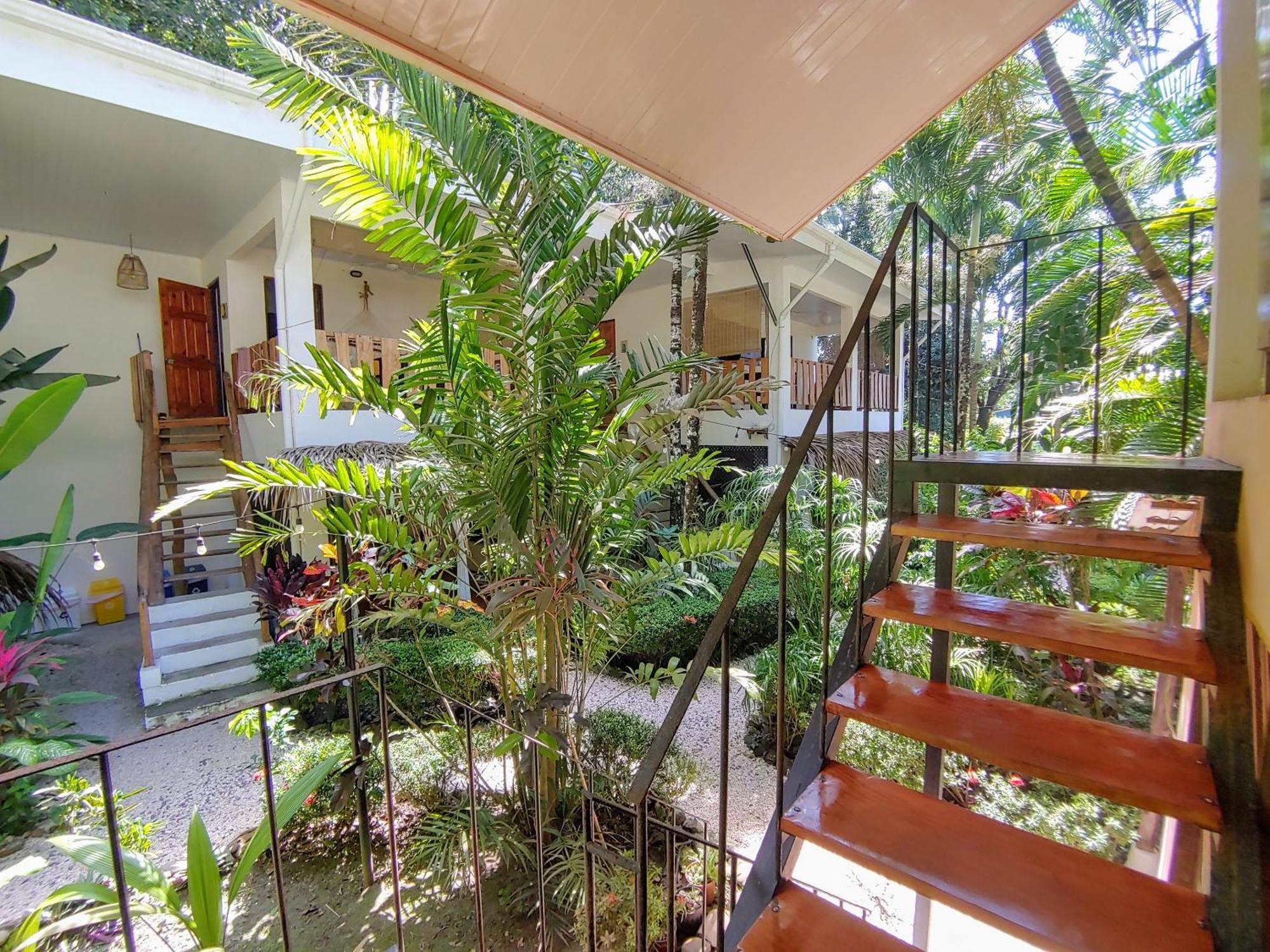 Colibri Apartments - 4 Min Walk To The Beach! Playa Santa Teresa  Экстерьер фото